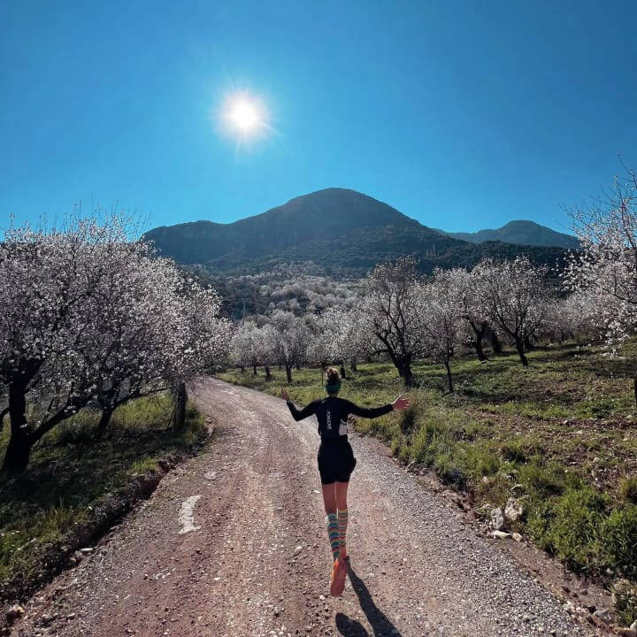 Datça Badem Çiçeği Festivali 2024