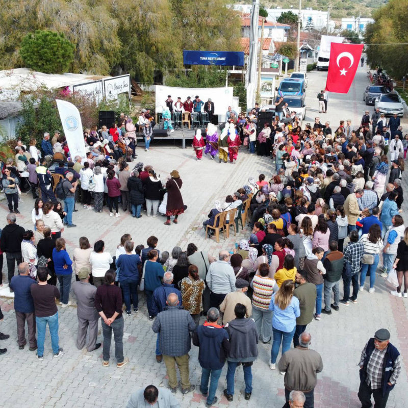 Datça Badem Çiçeği Festivali 2024